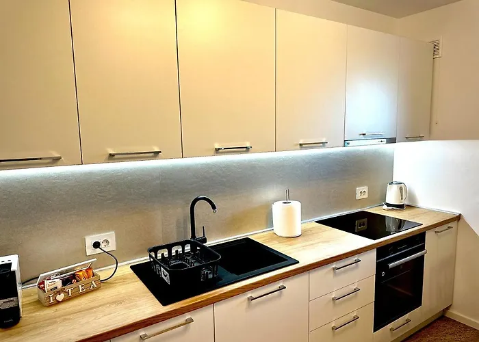 Apartment 4friendscoresibrasov Z Brasov