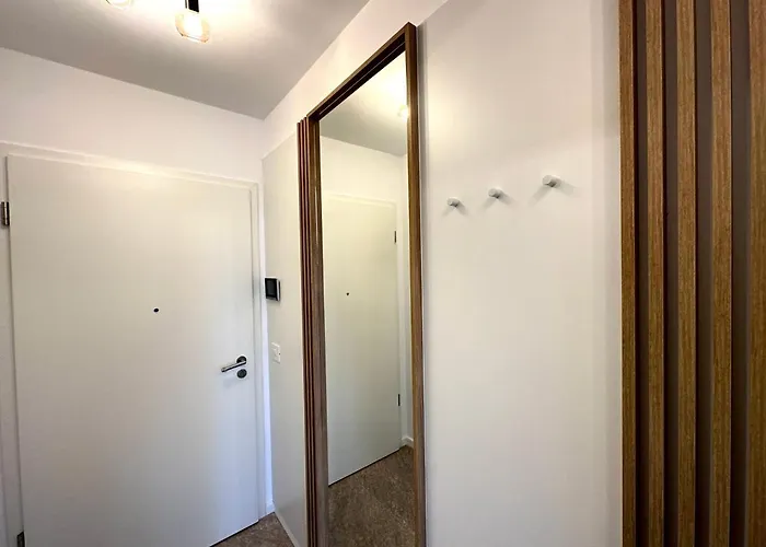 4friendscoresibrasov Z