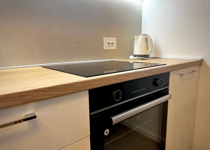 Apartment 4friendscoresibrasov Z Brasov